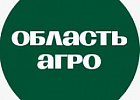 За год количество подписчиков облдепартамента села выросло на 60 процентов За год количество подписчиков облдепартамента села выросло на 60 процентов